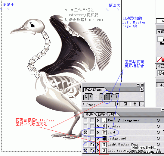 ILLUSTRATOR如何实现分页功能（图三十）