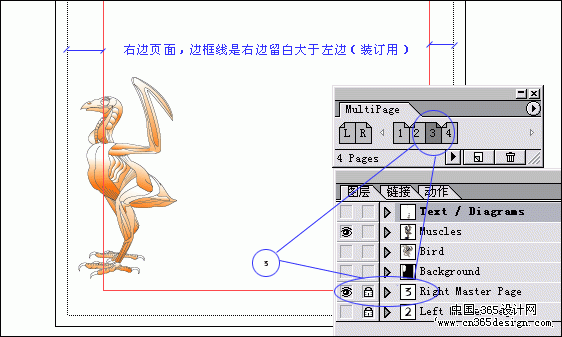 ILLUSTRATOR如何实现分页功能（图三十二）