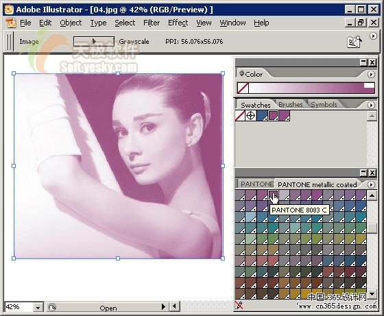 Illustrator CS2体验：增强的专色支持