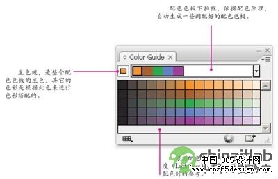 体验Illustrator_CS3的全新色彩搭配工具_中国IT实验室转载