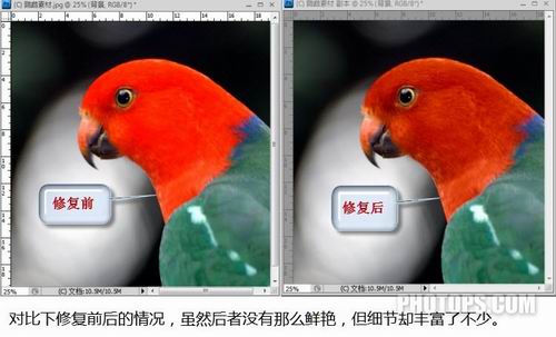 PhotoShop巧用通道还原照片细节