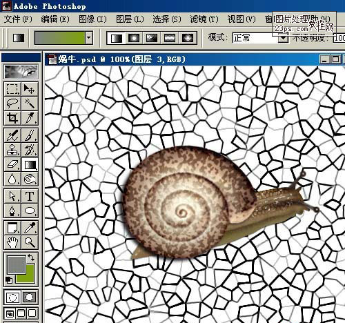 Photoshop鼠绘教程 鼠绘逼真的蜗牛