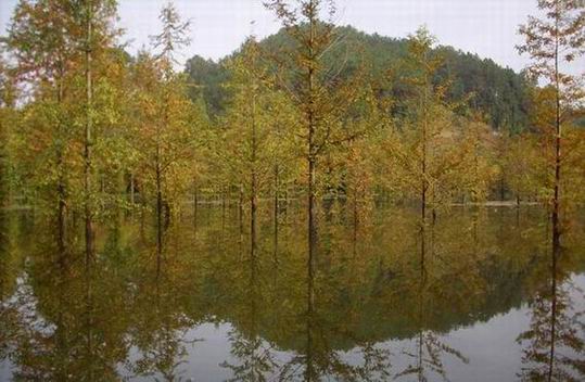 PS滤镜把外景照片转成油画效果