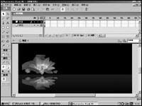 用FlashMX制作荷花倒影动画(图)