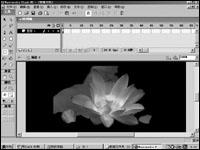 用FlashMX制作荷花倒影动画(图)